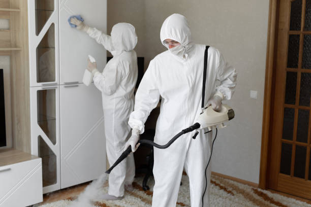 Best Residential Mold Removal  in Wmington, IL