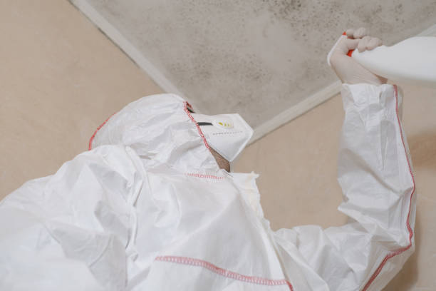 Best Mold Testing  in Wmington, IL